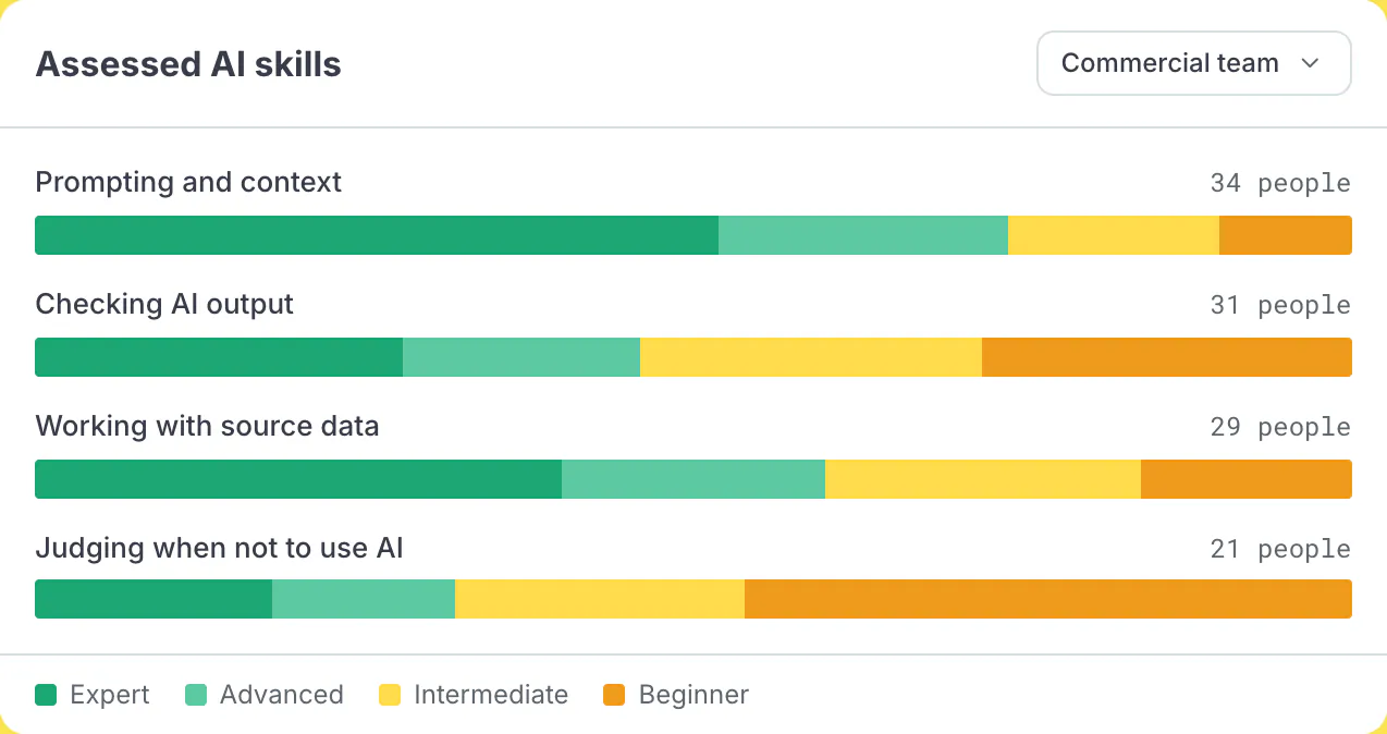 Skills Intelligence report of assessed AI skills for one business team
