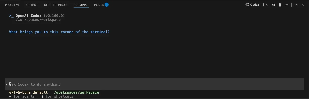 OpenAI Codex open in the terminal of a Codility VS Code task, with the Codex prompt box ready and the model shown underneath.